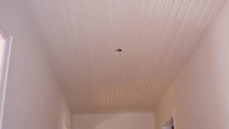 Malermester i Hjørring