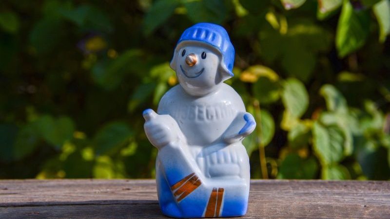 Fisk forsvarligt i alle slags have