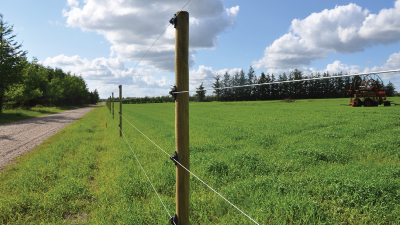 Stabile Hegnspæle til opsætning derhjemme