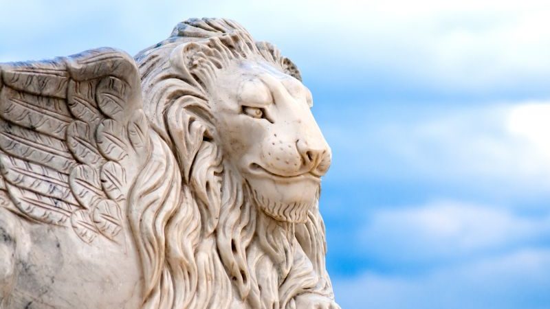 Tag på en fed rejse med resten af familien