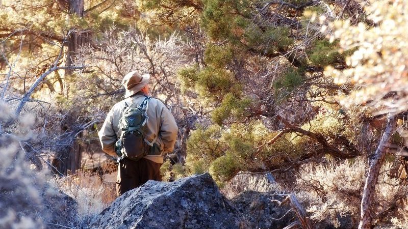 Naturen er et rent skattekammer