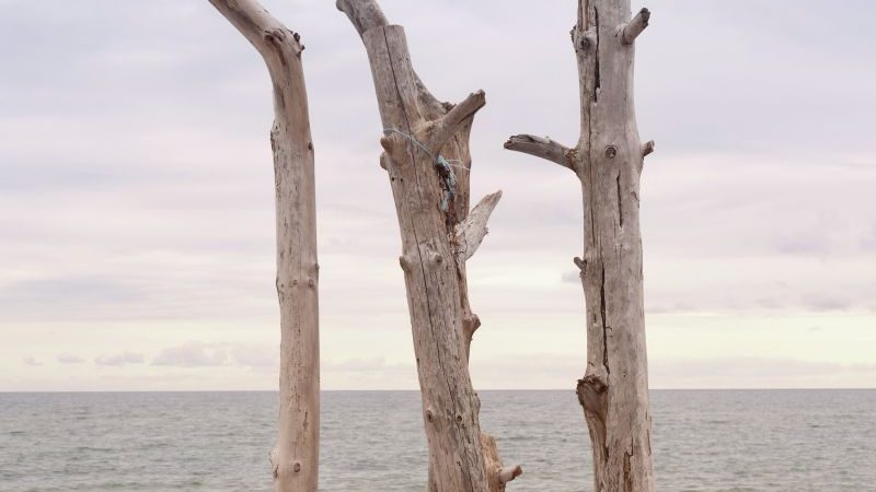 Bevar naturen så godt du overhovedet kan